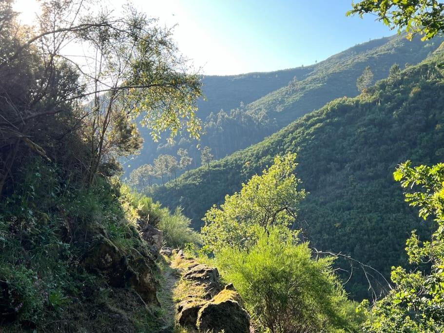 Casa Do Sol - Natureza & Lazer - Serra Da Freita Arouca Ngoại thất bức ảnh