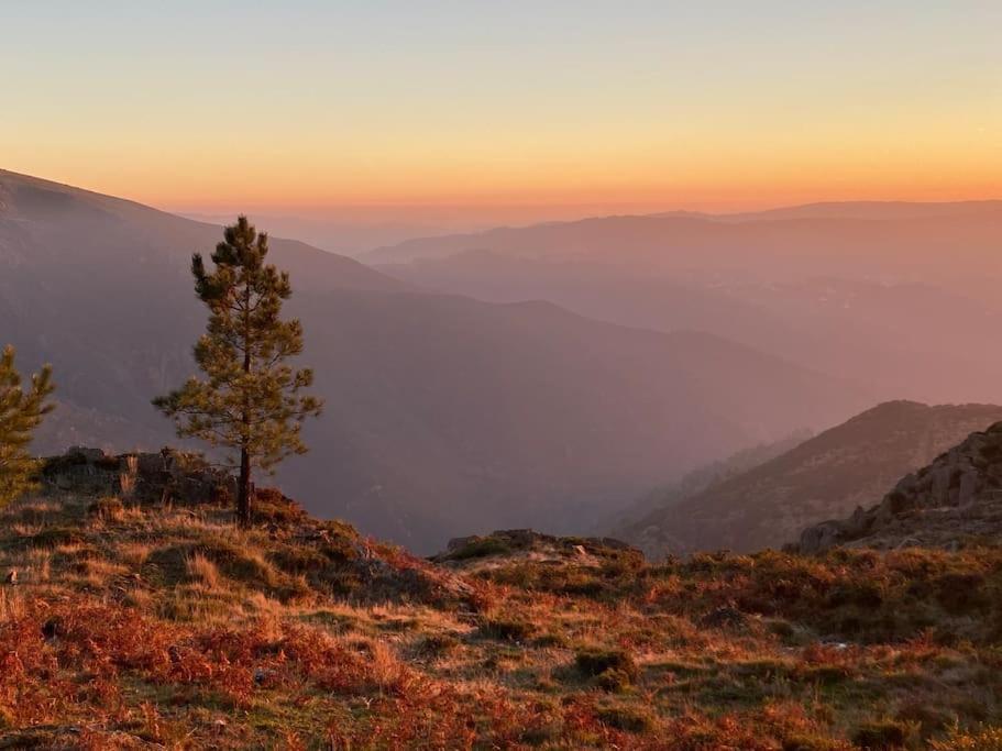 Casa Do Sol - Natureza & Lazer - Serra Da Freita Arouca Ngoại thất bức ảnh