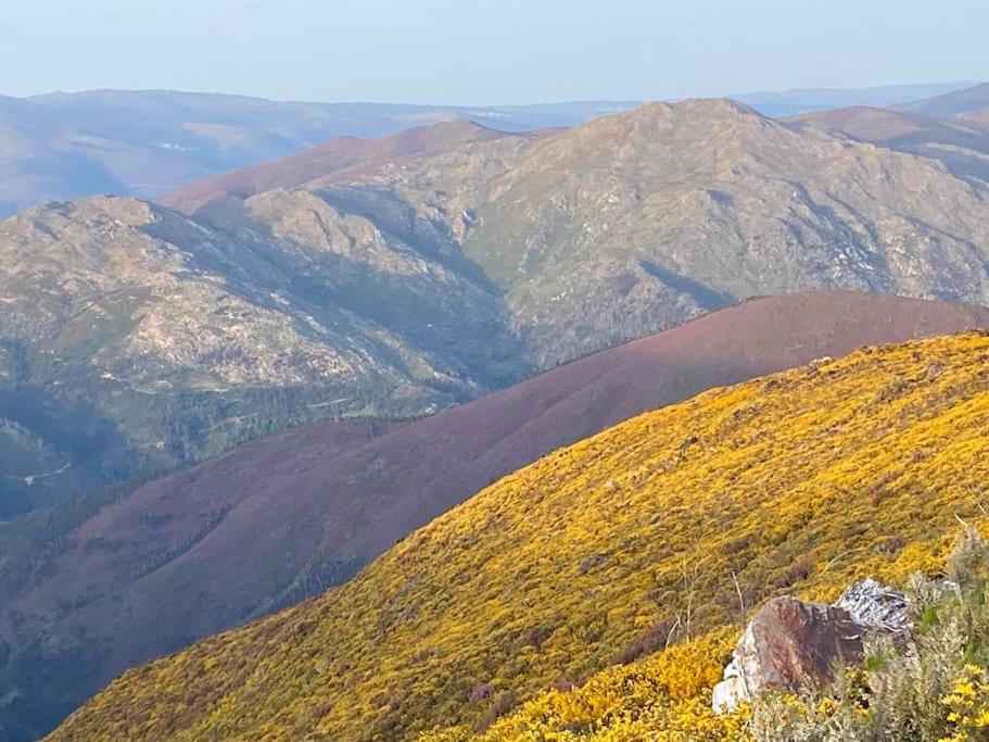 Casa Do Sol - Natureza & Lazer - Serra Da Freita Arouca Ngoại thất bức ảnh