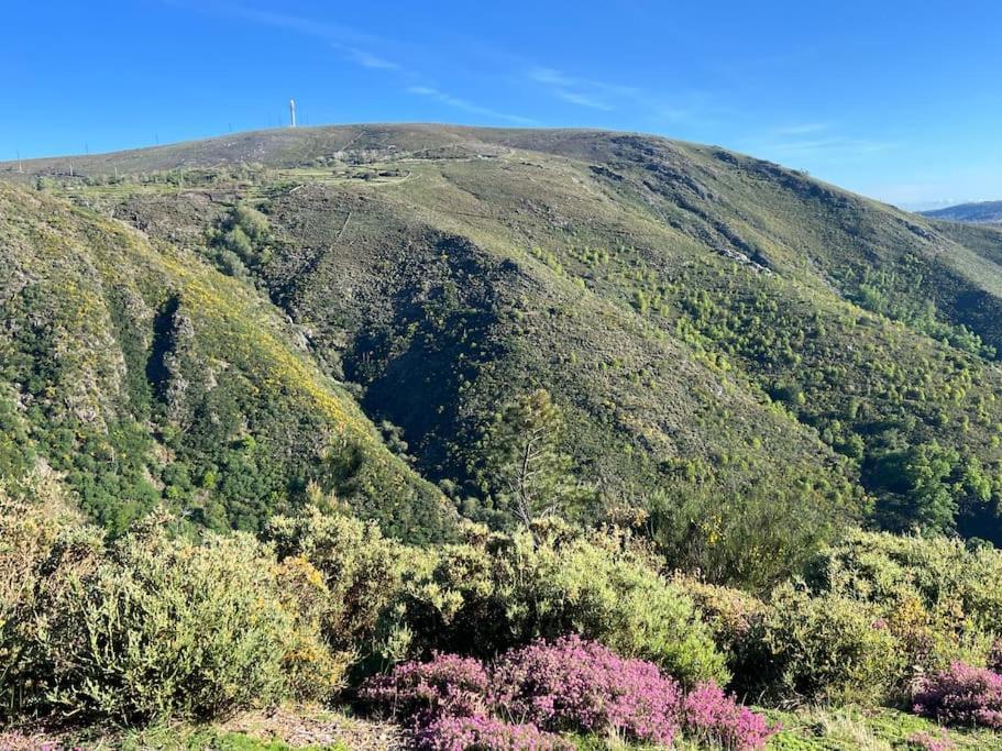 Casa Do Sol - Natureza & Lazer - Serra Da Freita Arouca Ngoại thất bức ảnh